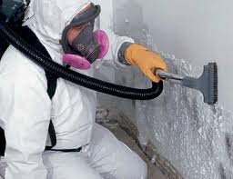 Best Emergency Mold Remediation  in Cornwall, PA